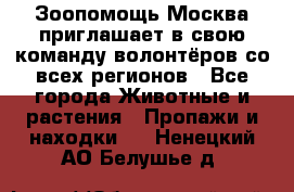 Зоопомощь.Москва приглашает в свою команду волонтёров со всех регионов - Все города Животные и растения » Пропажи и находки   . Ненецкий АО,Белушье д.